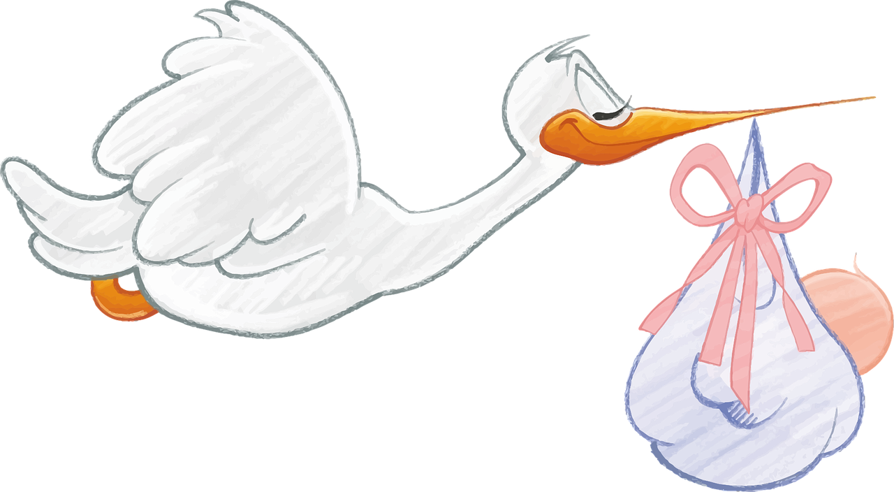 Stork delivering a baby - Image